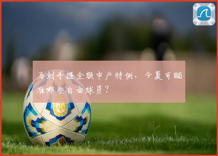 马刺手握全额中产特例,今夏可瞄准哪些自由球员?
